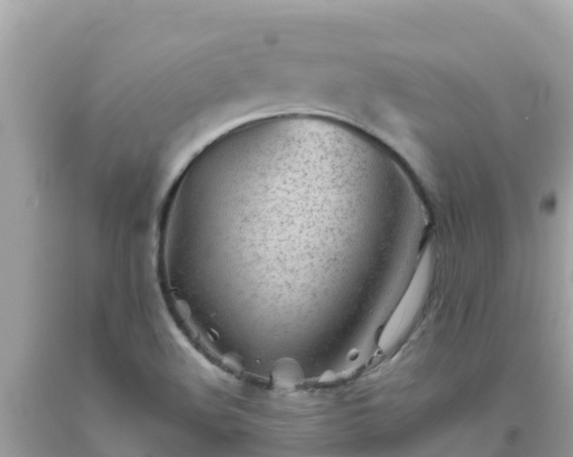 X0000093771508200710231302