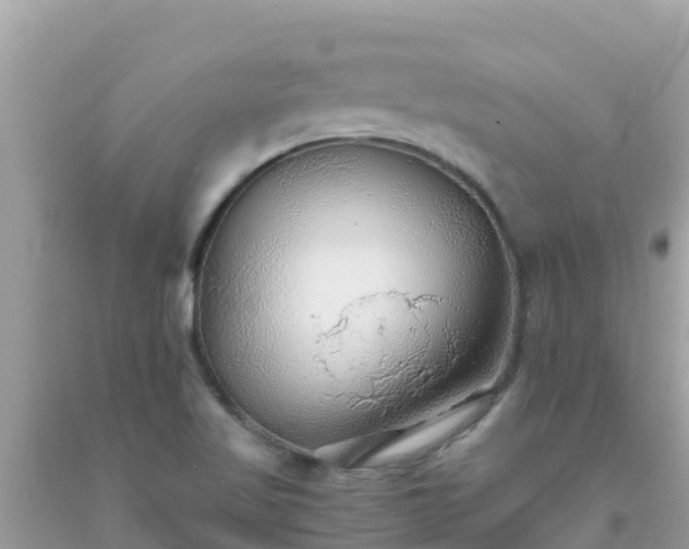 X0000093771509200710231302