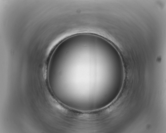 X0000093771510200710231302