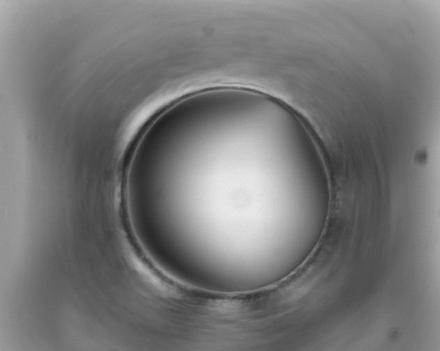 X0000093771511200710231302