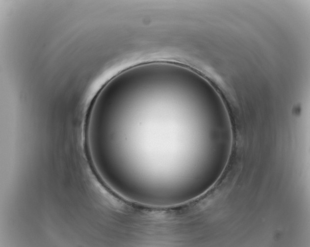 X0000093771512200710231302