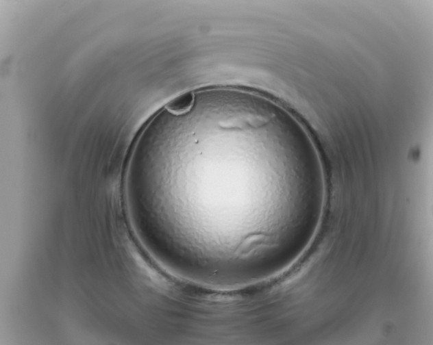 X0000093771513200710231302