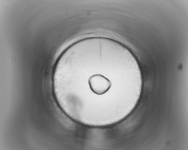 X0000093771514200710231302