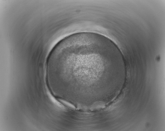 X0000093771515200710231302