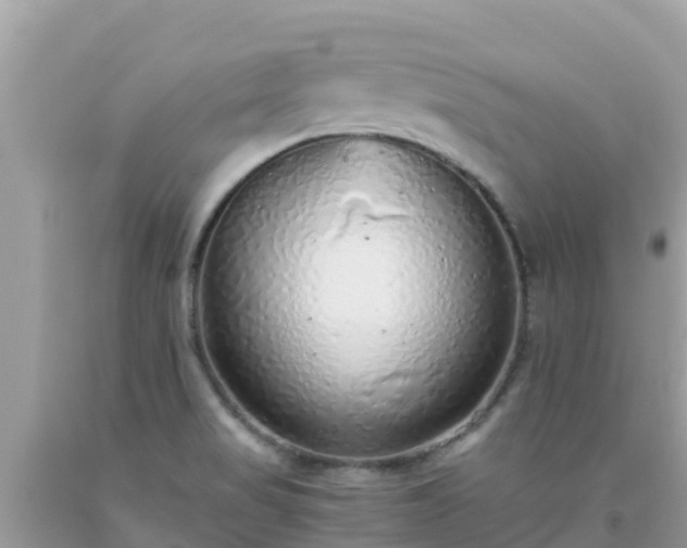 X0000093771517200710231302