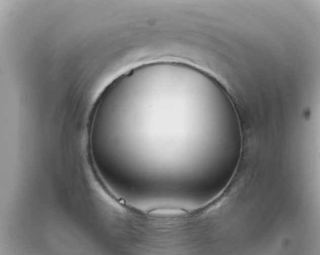 X0000093771518200710231302