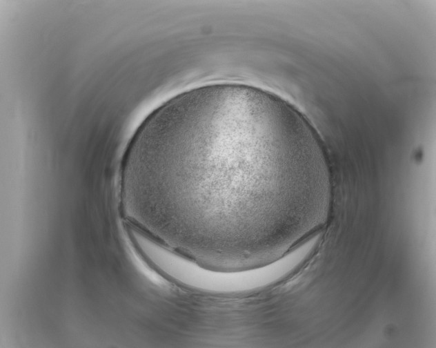 X0000093771519200710231302