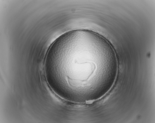 X0000093771521200710231302