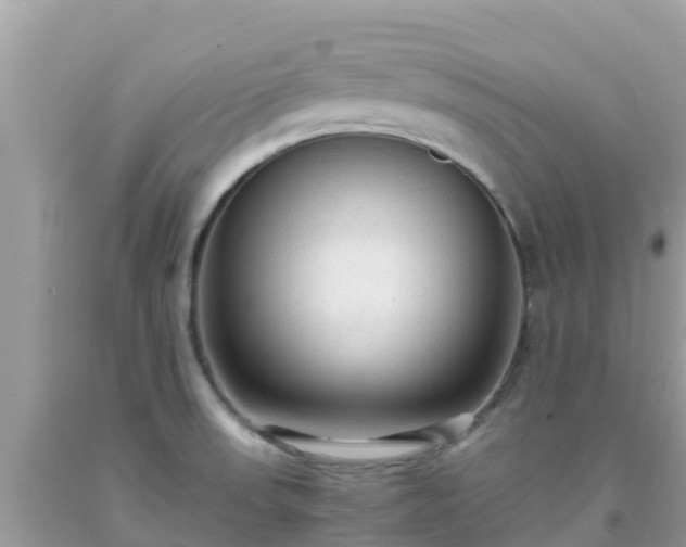 X0000093771523200710231302