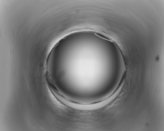 X0000093771524200710231302