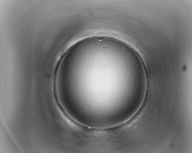 X0000093771525200710231302