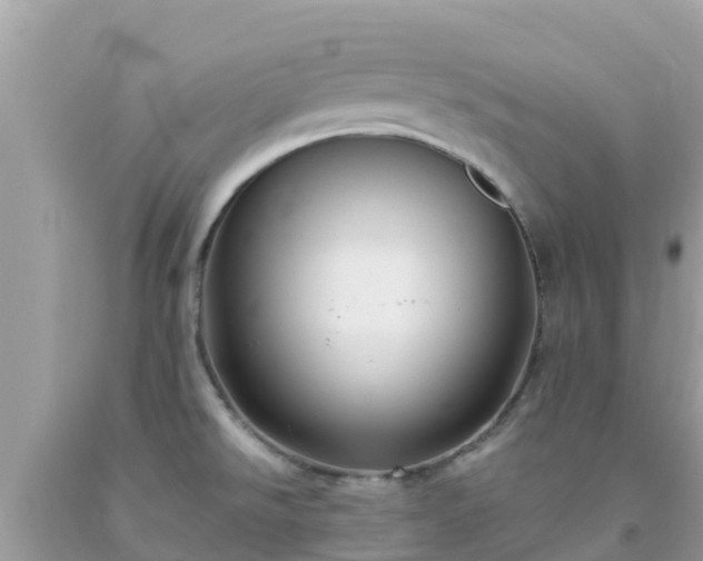 X0000093771526200710231302