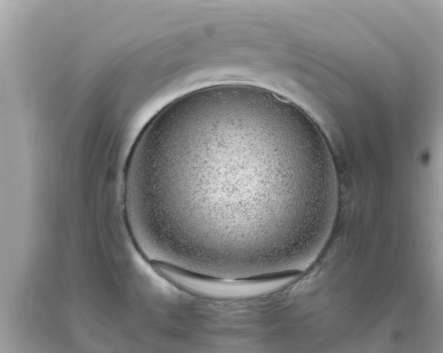 X0000093771527200710231302