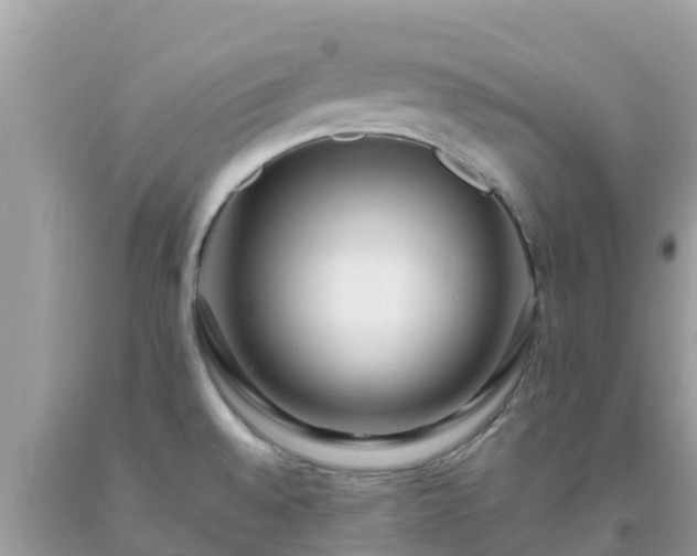 X0000093771528200710231302