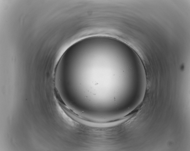 X0000093771532200710231302