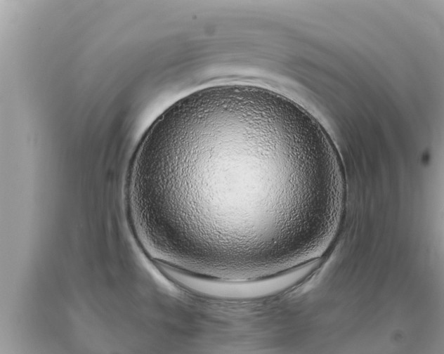 X0000093771533200710231302