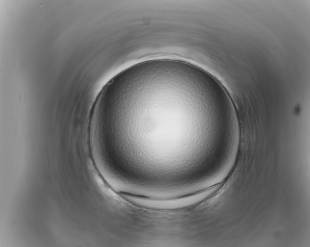 X0000093771534200710231302