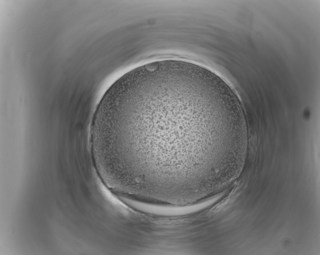 X0000093771535200710231302