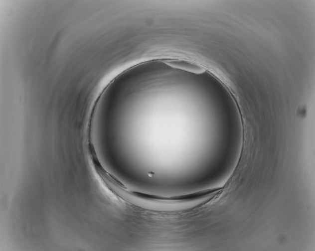 X0000093771536200710231302