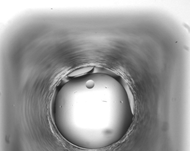 X0000093770001200710301215