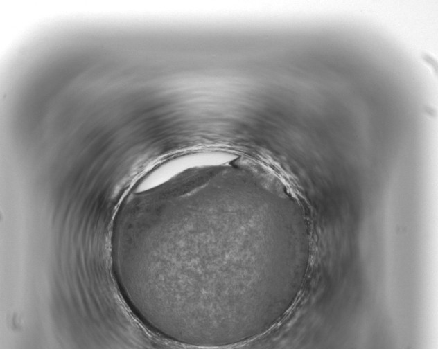 X0000093770002200710301215