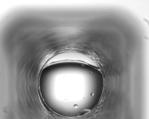 X0000093770003200710301215