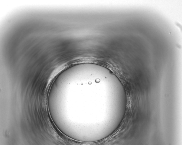 X0000093770004200710301215