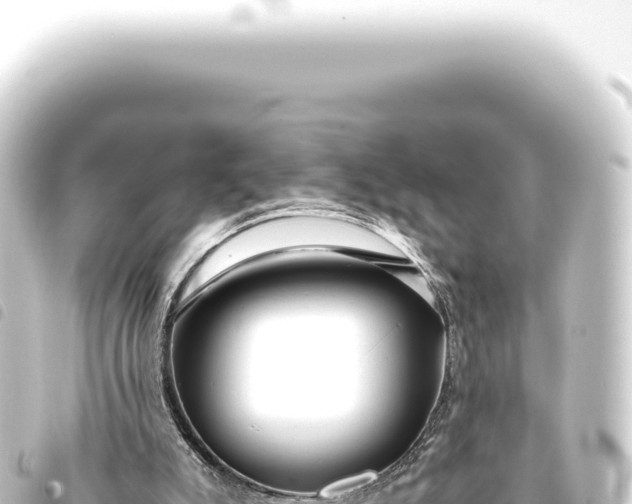 X0000093770007200710301215