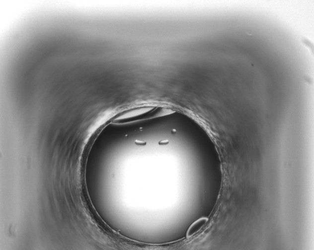 X0000093770008200710301215