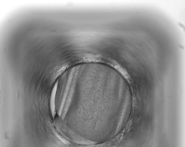 X0000093770009200710301215