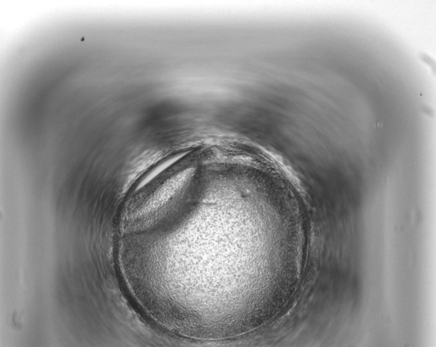 X0000093770010200710301215