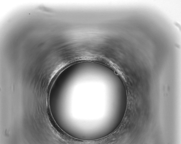 X0000093770011200710301215