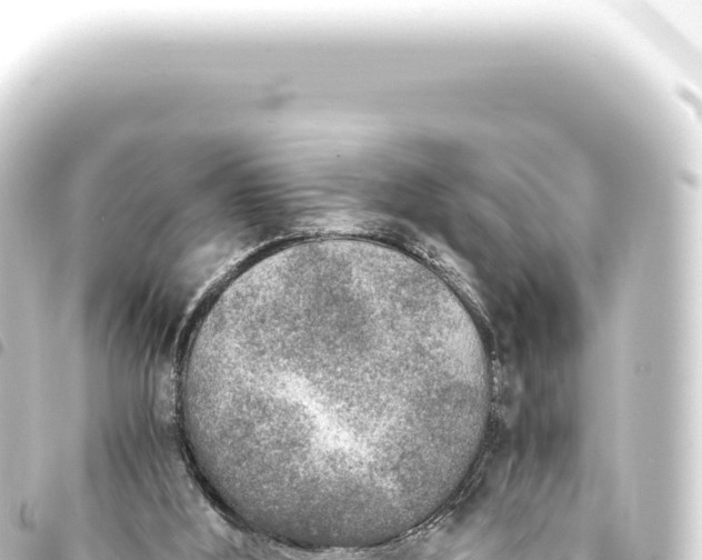 X0000093770012200710301215