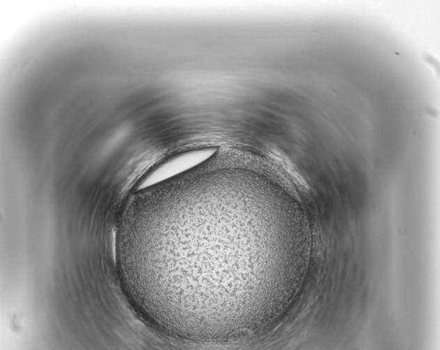 X0000093770014200710301215