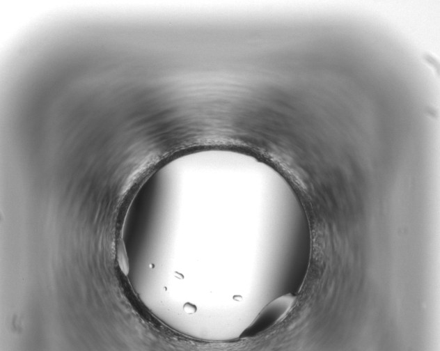 X0000093770015200710301215