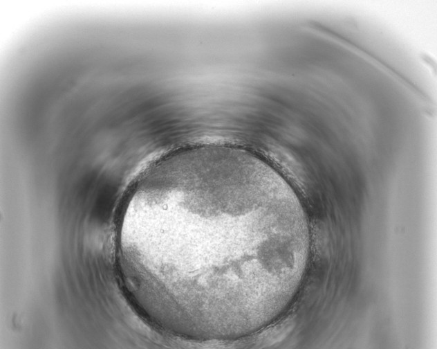 X0000093770016200710301215