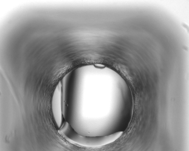 X0000093770017200710301215