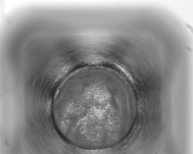 X0000093770018200710301215