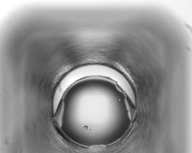 X0000093770019200710301215