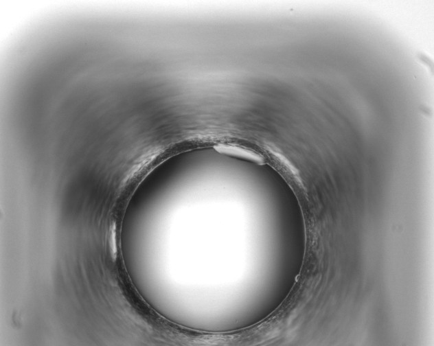 X0000093770020200710301214