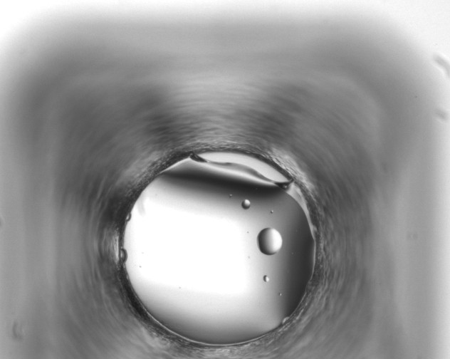 X0000093770021200710301214