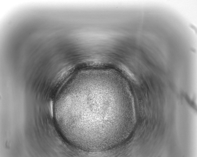 X0000093770022200710301214