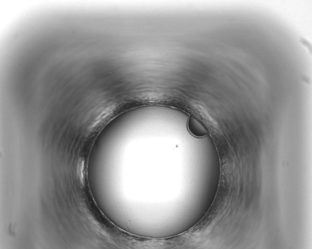 X0000093770024200710301214