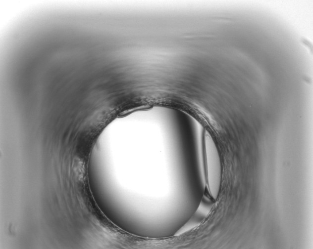 X0000093770025200710301214