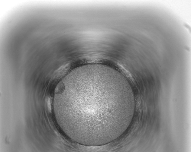 X0000093770026200710301214