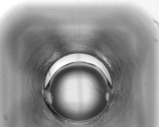 X0000093770027200710301214