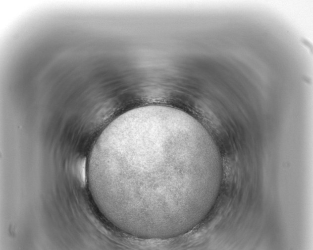 X0000093770028200710301214