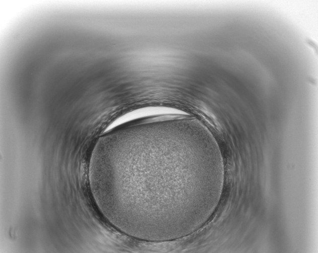 X0000093770029200710301214