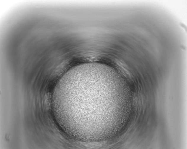 X0000093770030200710301214