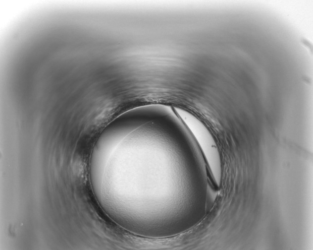 X0000093770031200710301214